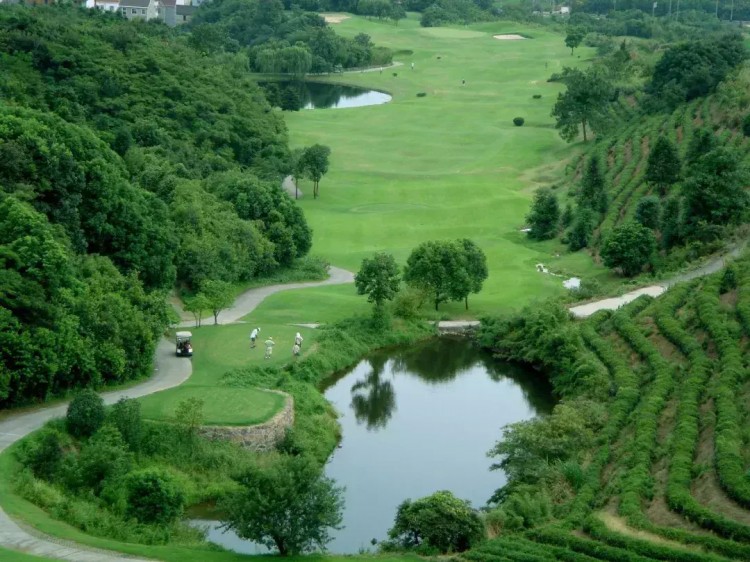 千亩茶园国际高尔夫球场恒温泳池SPA,亚洲最佳度假村